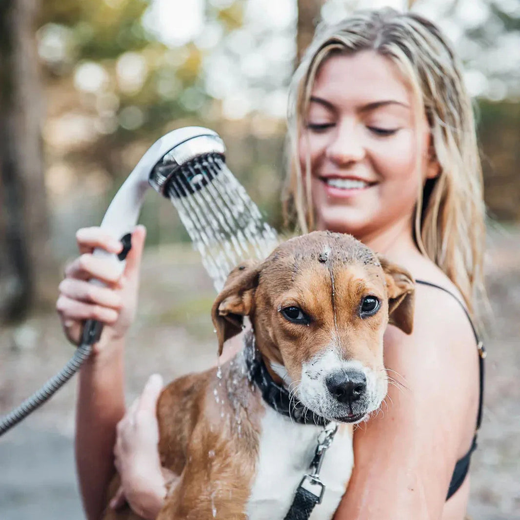Why Dogs Love the GEO SHOWER